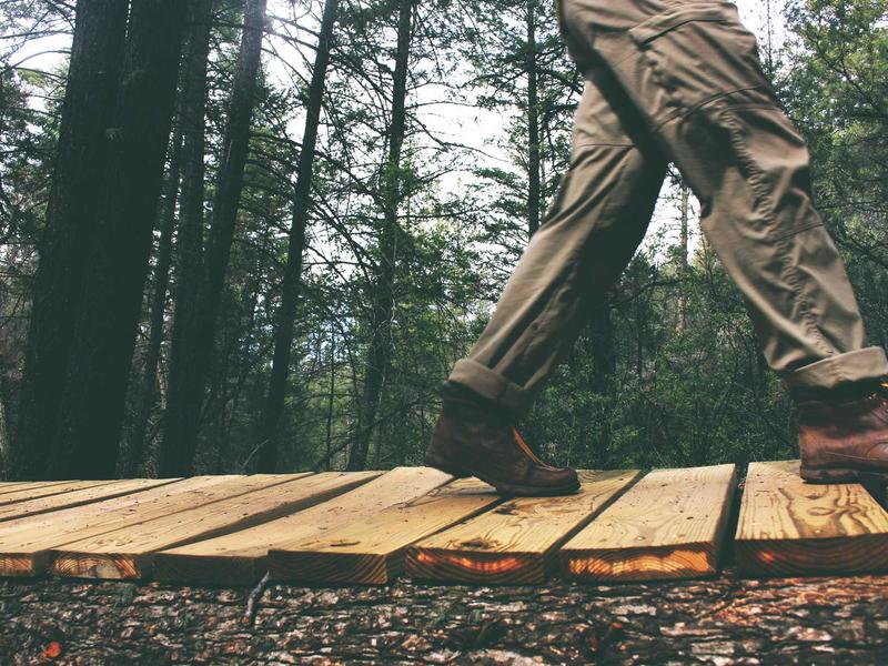 sudoku bifurcation screenshot 2